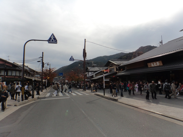 京都　木津川・桂川サイクリングロード　ポタリング　（ブロンプトン）_c0266004_17512324.jpg