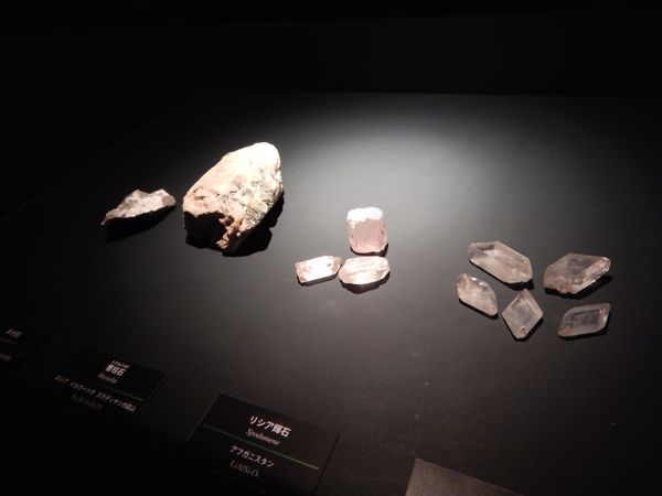 f0329311_226241.jpg