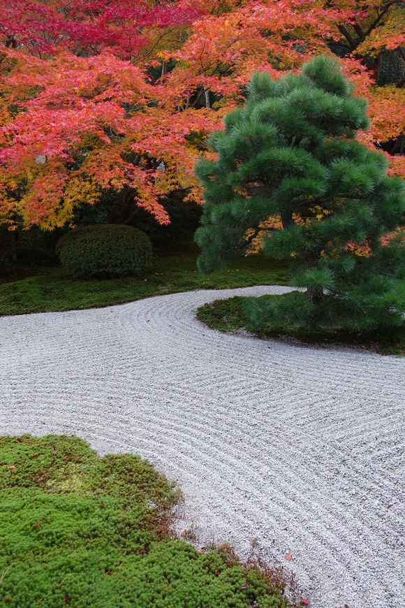 京都へ行こう　２０１４　南禅寺_d0039312_21131277.jpg