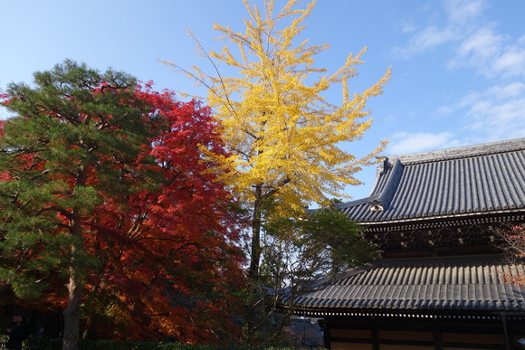 京都へ行こう　２０１４　南禅寺_d0039312_21194559.jpg