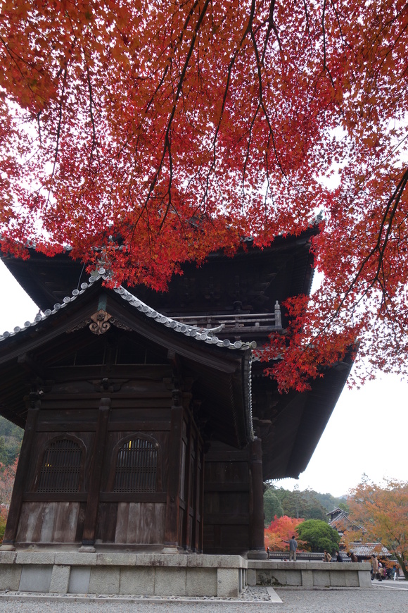 京都へ行こう　２０１４　南禅寺_d0039312_219183.jpg