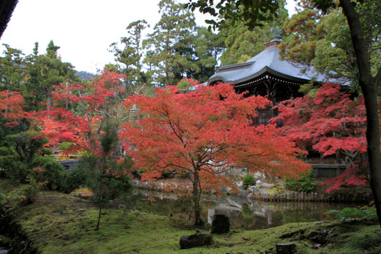 14紅葉めぐり22 清涼寺_e0048413_22214647.jpg