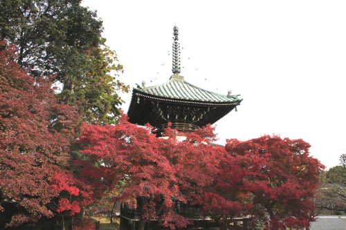 14紅葉めぐり22 清涼寺_e0048413_2221547.jpg