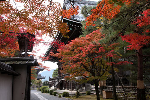 14紅葉めぐり22 清涼寺_e0048413_2222024.jpg