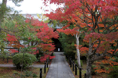 14紅葉めぐり22 清涼寺_e0048413_22221332.jpg