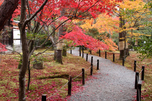 14紅葉めぐり22 清涼寺_e0048413_22223416.jpg