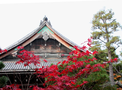 14紅葉めぐり22 清涼寺_e0048413_2223324.jpg