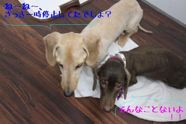 生ハム_b0130018_17233553.jpg