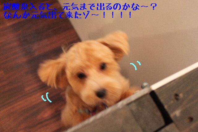 生ハム_b0130018_1731267.jpg