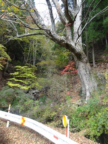 f0000521_21510757.jpg