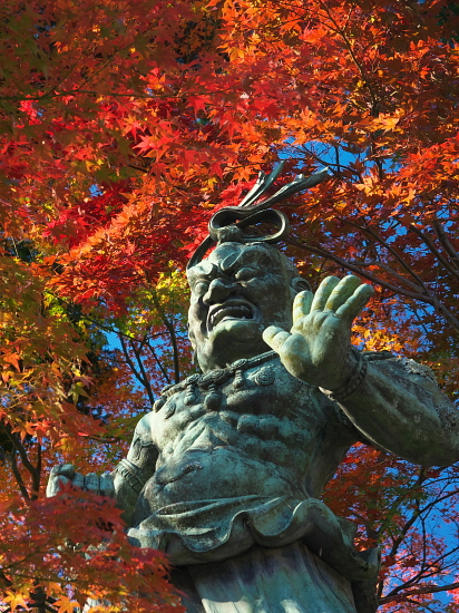 紅葉めぐり2014～洛西・正法寺～_e0080133_0113899.jpg