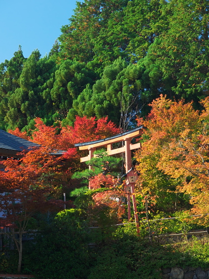 紅葉めぐり2014～洛西・正法寺～_e0080133_0121770.jpg