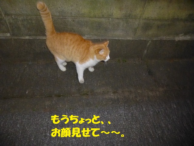 しおのカワイ～イお友達♪_e0196135_20231340.jpg