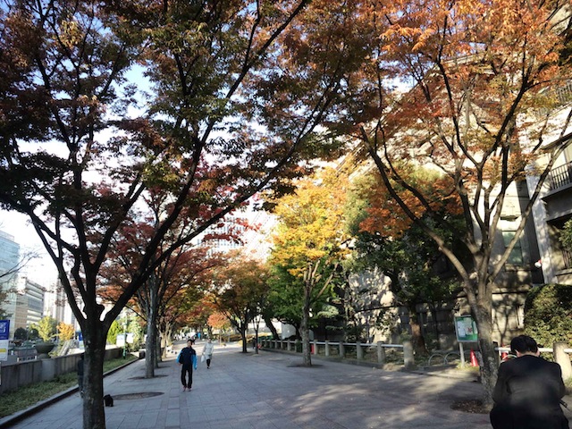 f0118335_1946259.jpg
