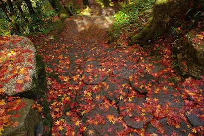 鶴仙渓の紅葉～山中温泉_d0043136_2365134.jpg