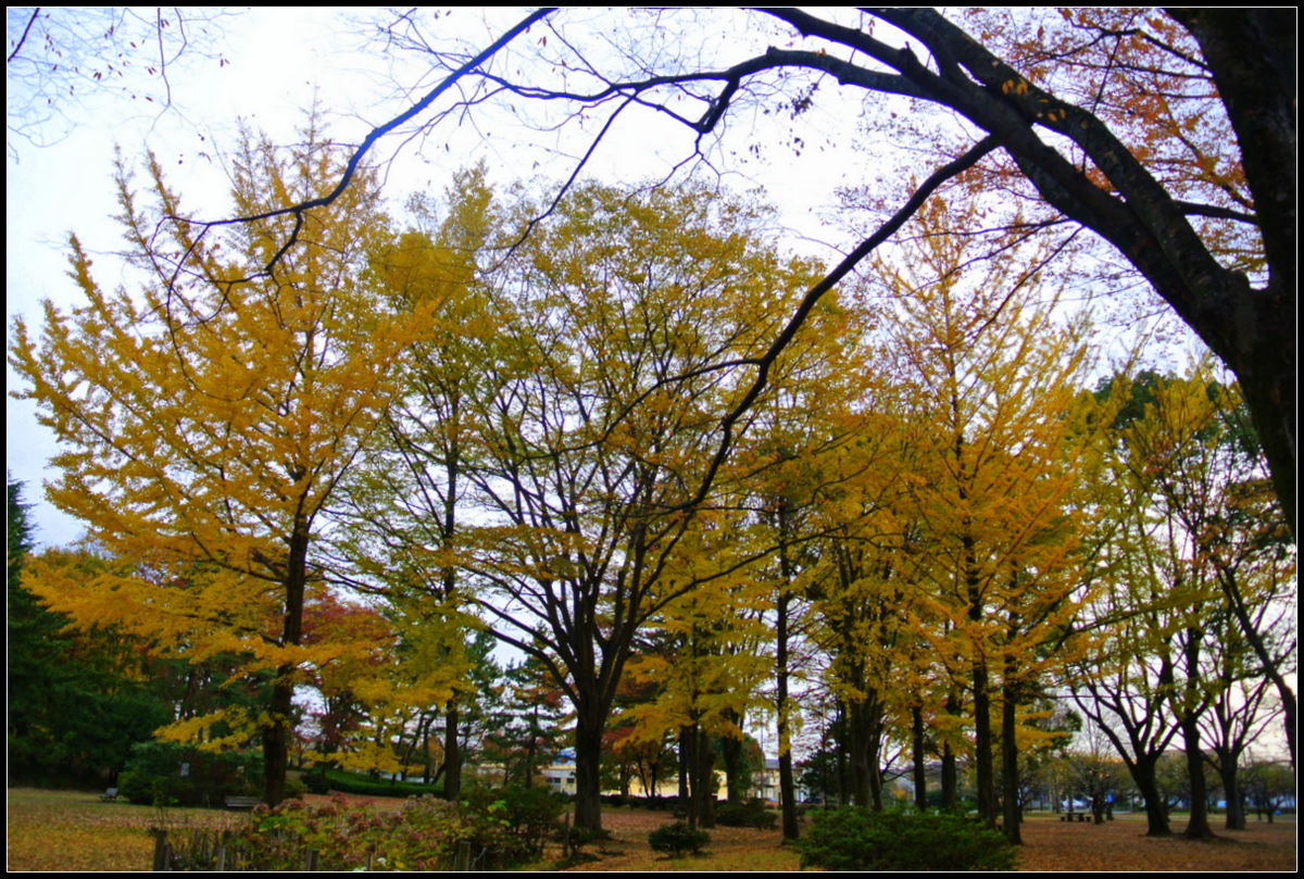 e0206242_97031.jpg