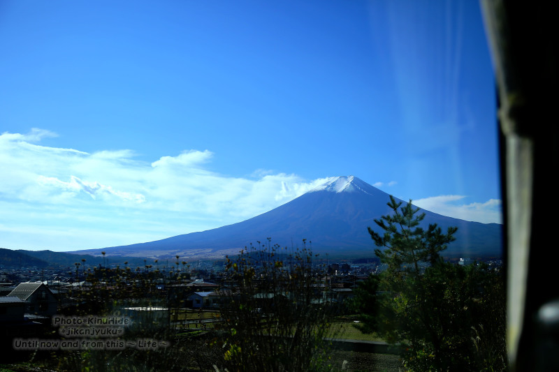 .......湖畔のもみじ回廊♪_e0151944_11402050.jpg