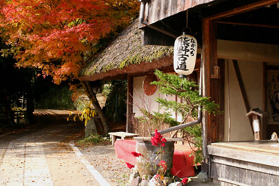 熊野古道紅葉 紀州よいとこ 熊野古道紅葉 紀州よいとこ