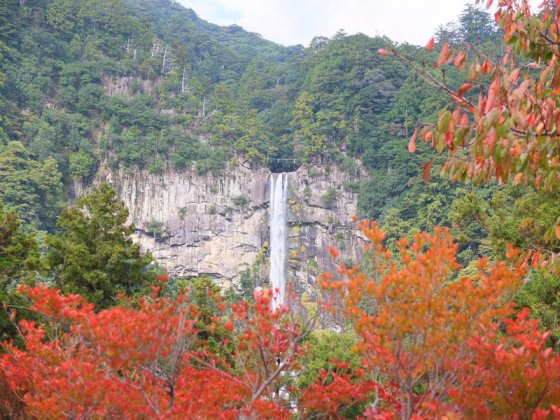 熊野古道紅葉 紀州よいとこ