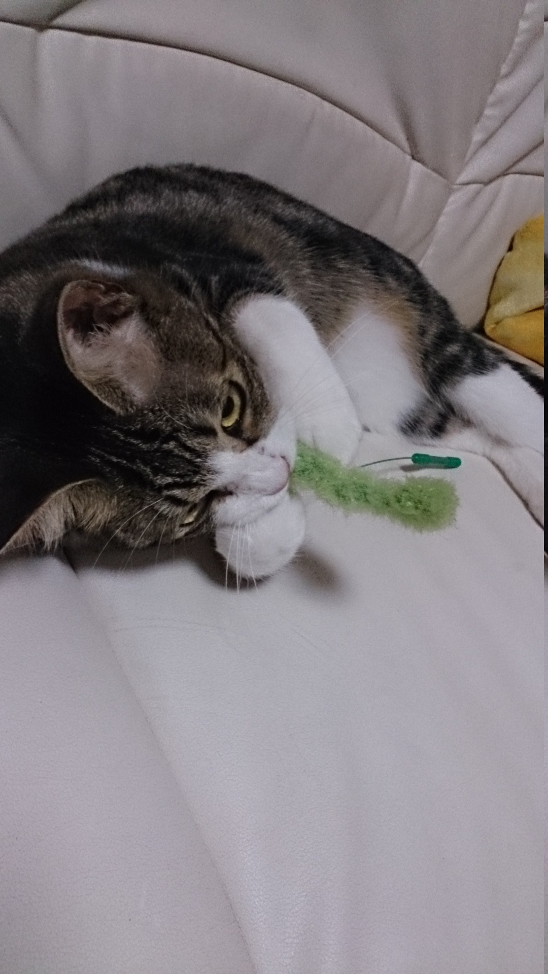 c0245751_21405388.jpeg