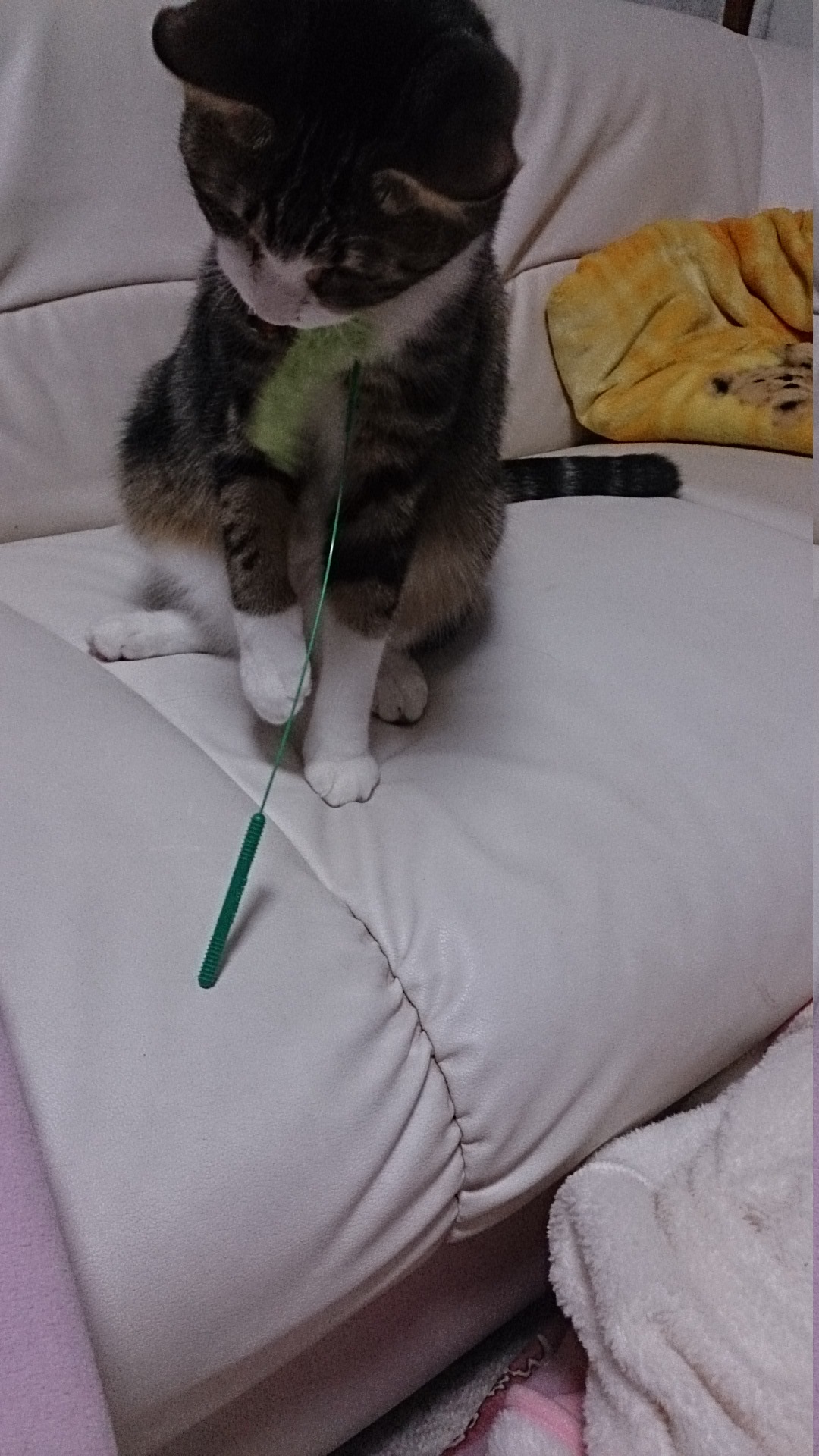 c0245751_21421670.jpeg