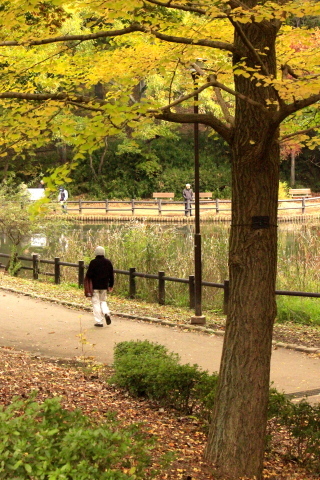 a0248459_19004493.jpg