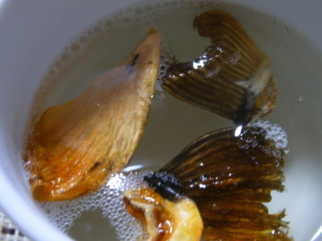 b0324461_18411567.jpg
