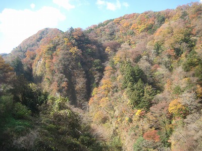 九重・九酔渓の紅黄葉_a0093965_234395.jpg