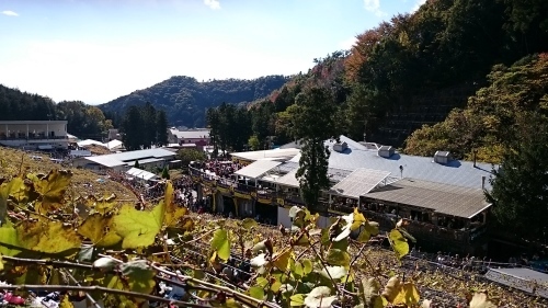 c0100865_06141224.jpg