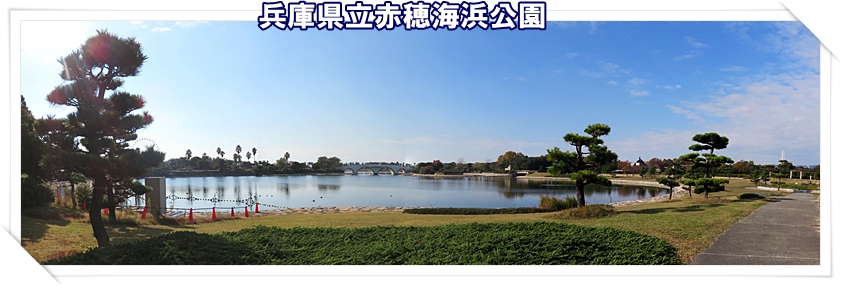 a0052666_12154599.jpg