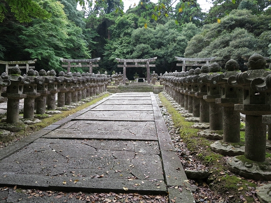 山口・島根の旅　Ⅱ　四角い竹　☆_d0021969_17132657.jpg