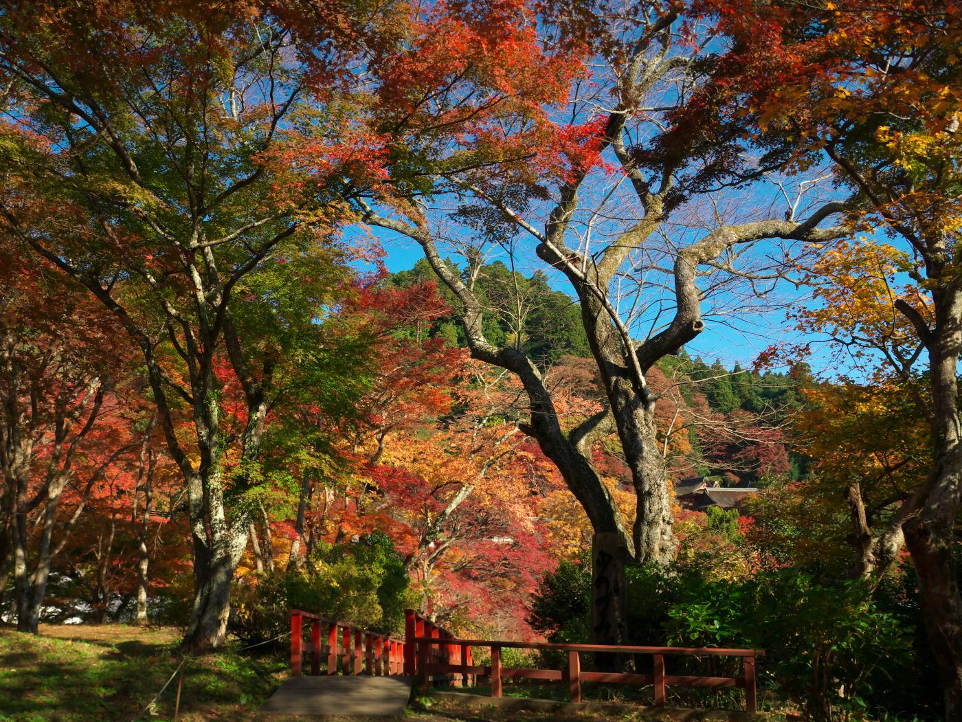 　談山神社 (2)_b0161171_20095880.jpg