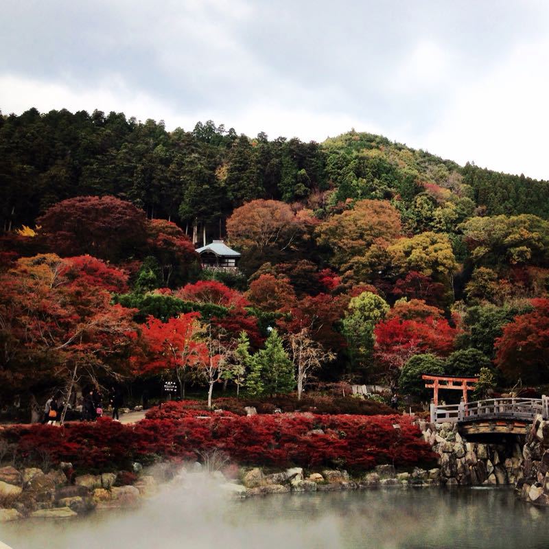 箕面 勝尾寺_b0277377_11452669.jpg