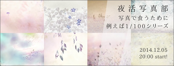 十月桜_a0161380_10261471.jpg