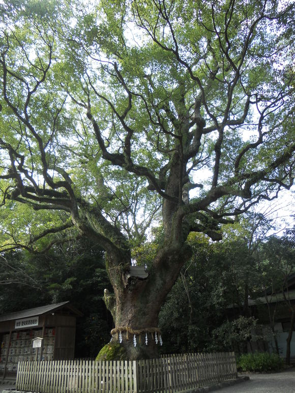 e0161692_14542660.jpg