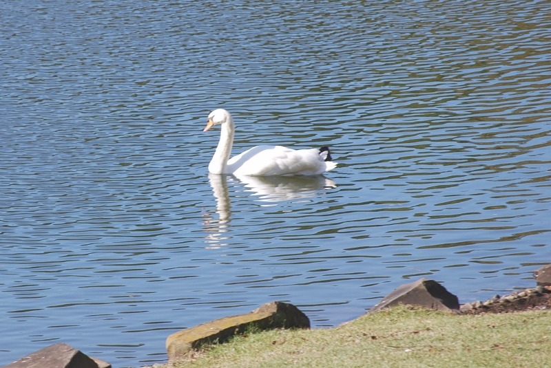 e0025300_17455631.jpg