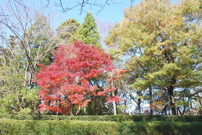 e0025300_1750241.jpg