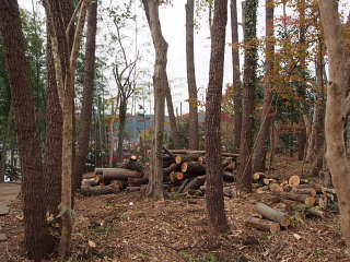 c0039501_17303746.jpg