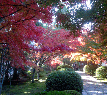 a0004802_1940343.gif