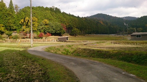 a0167204_19364425.jpg