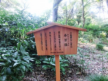 c0187004_9141819.jpg
