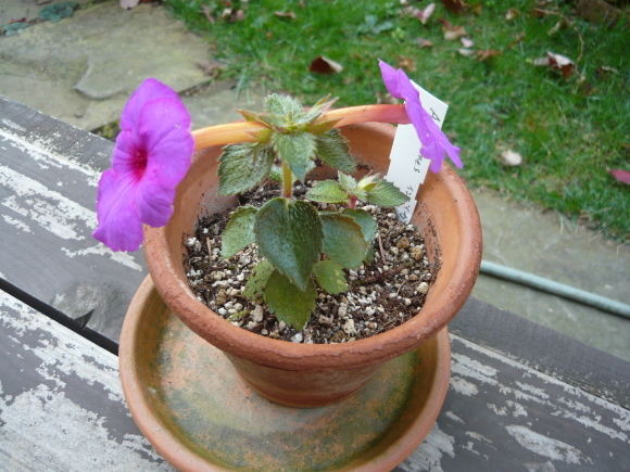 a0139007_18062815.jpg