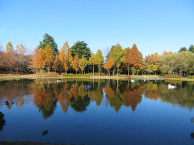 彩の森公園とジョンソンタウン_b0129807_22194767.jpg