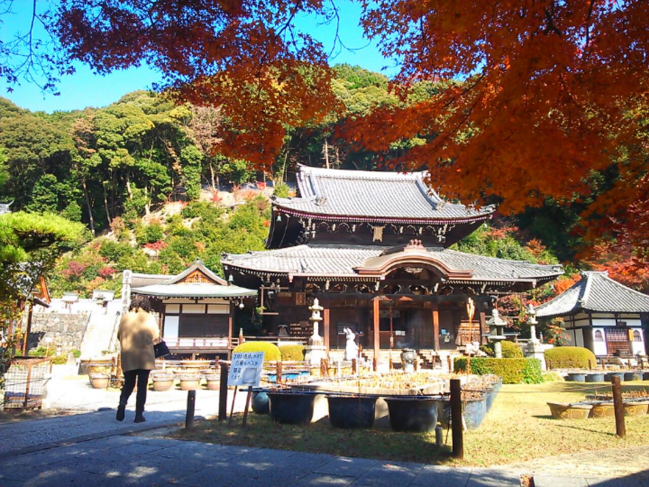 世界文化遺産醍醐寺、宇治市三室戸寺を訪ねて…_d0265607_22482730.jpg