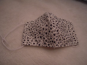 f0331507_20123859.jpg