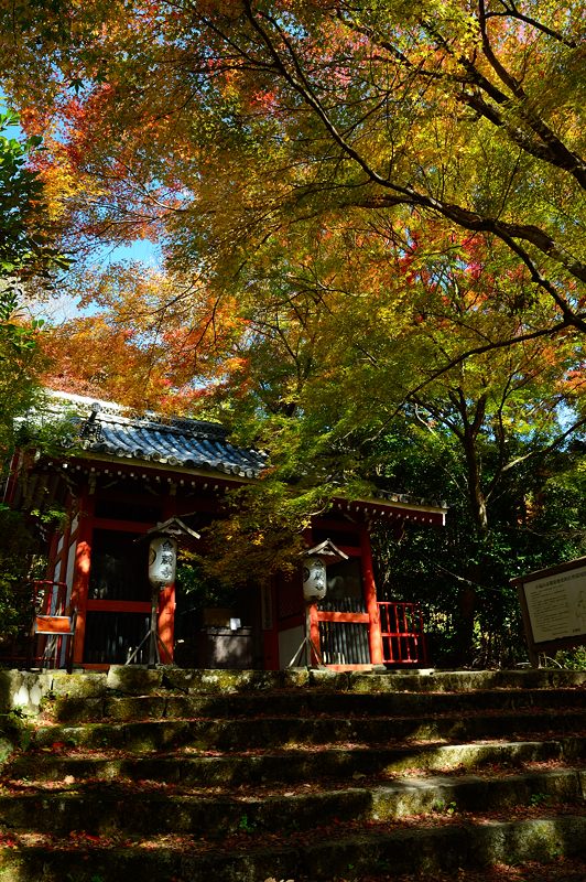 2014京都の紅葉・洛西　金蔵寺　其の一_f0032011_19251226.jpg