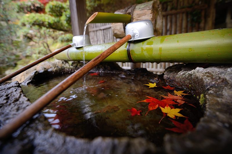 2014京都の紅葉・洛西　金蔵寺　其の一_f0032011_1931064.jpg