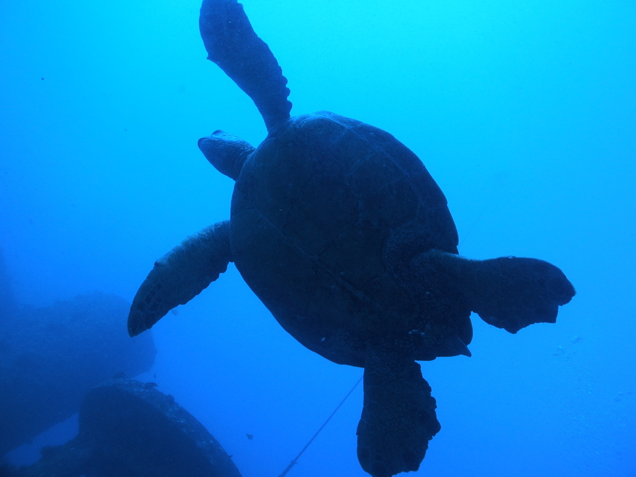 e0256814_15131697.jpg