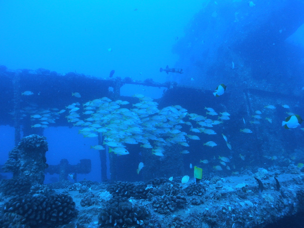 e0256814_15163954.jpg