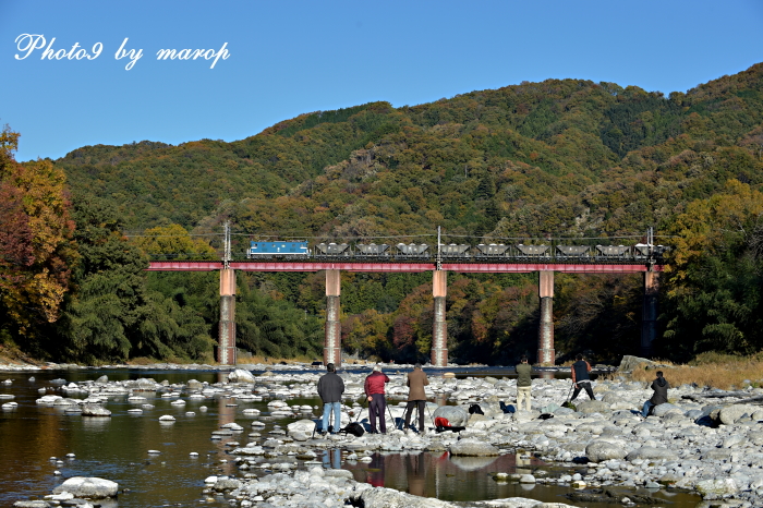 紅葉の荒川橋梁を渡る 秩父鉄道 鉱石列車デキ ヲキ 麻呂犬写真館 Mamiphon